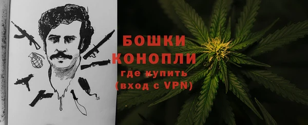 молекула духа Богородицк