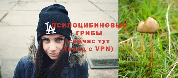спиды Белокуриха