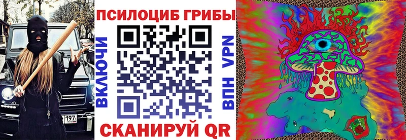 Псилоцибиновые грибы Cubensis Будённовск