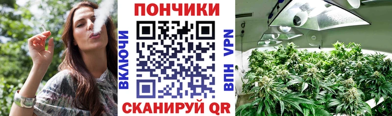 Канабис планчик Будённовск